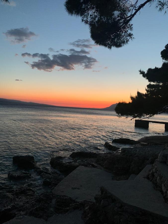 Oaza Mira Mobile Houses - Camp Basko Polje #Bestoffer Baška Voda エクステリア 写真